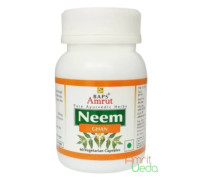 Neem सार, 60 कैप्सूल