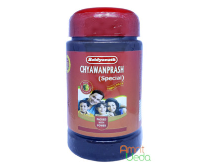 Chyawanprash Special Baidyanath, 500 ग्राम